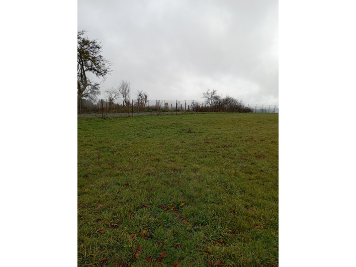 plat arbre nature campagne tranquille haie