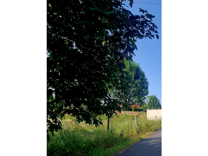 vente anuncios inmobiliara - Terreno t0 902 m2 à Le Pertuis (43200)