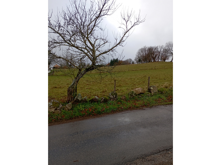 terrain jardin isol&eacute; bricoleur ma&ccedil;on cuisine