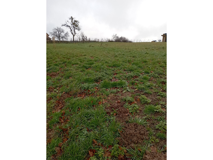 terrain constructible vue d&eacute;gag&eacute;e born&eacute;